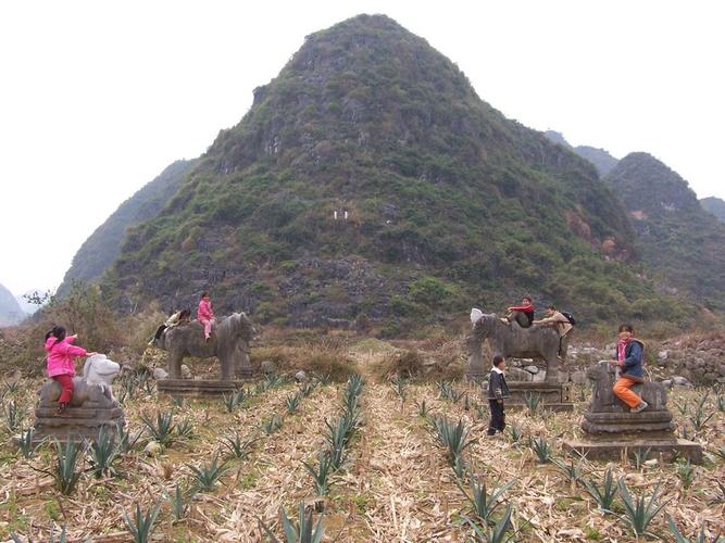 百色地区留题地风水录