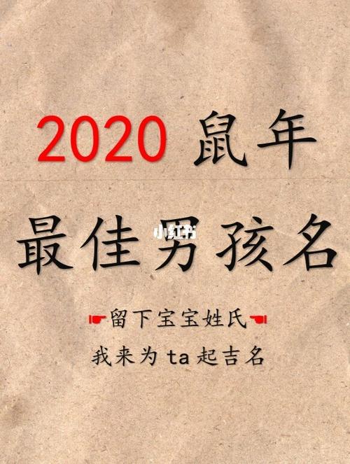 2020年鼠年男孩取名注意事项 宝宝起名精选_古风_女宝宝_深圳湾绿道