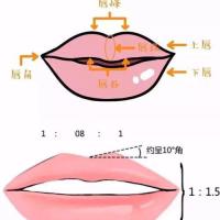 这些部位的位置,大小,有无,比例,都决定着嘴唇是否好看