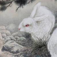 63年属兔人的晚年龙腾虎跃越老越有财家有兔兔的看看吧