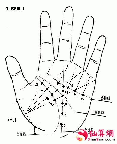 会富贵的手相图解大全