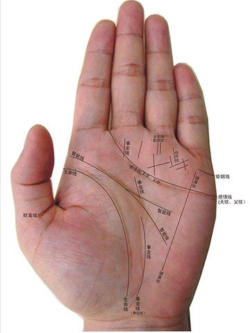 风水学入门 风水图解 女人手相生命线图解 >> 正文  手掌生命线图解