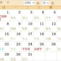 1991全年日历农历表