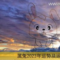 属兔人2023年进入了癸卯年,由于逢本命年运势不理想,今年期间要小心