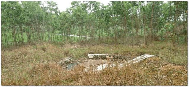 平原无水地风水墓地