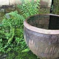 中国人为什么喜欢在院子里放水缸