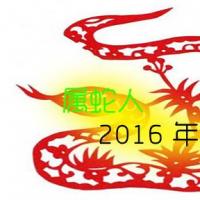 2016属蛇人全年运势男性