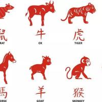 就这样,12个生肖动物确定了,依次是鼠,牛,虎,兔,龙,蛇,马,羊,猴,鸡,狗