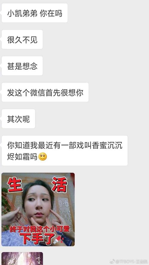 [王俊凯][新闻]180808 王俊凯更博为杨紫宣传新戏 截图二人聊天记录戏