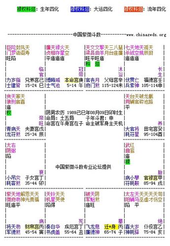 紫微斗数预测: 命宫在(午) 命宫主星为廉贞,天相 廉贞同宫 爱恨分明