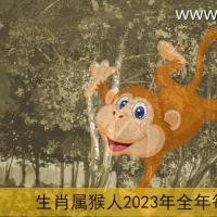 生肖属猴人2023年全年每月运势