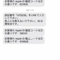 在日本频繁接到诈骗短信_日本_资讯_民生新闻