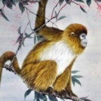 1968年出生的人五行属土,申为生肖猴,五行纳音大驿土,故为土猴之命