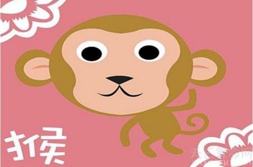 一,按生肖五行分析2016年是火猴之命