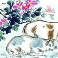 十二生肖出生时间:属猪的什么时辰出生最好?