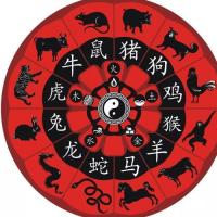 每个人都以其出生年的象征动物作为生肖,生肖也称属相,是中国民间计算