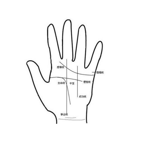 手掌中的辅助纹线——反抗纹_手相面相全知道_1,有反抗纹且智慧线很长