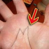 手相川字掌和m掌手纹的人有什么说法?