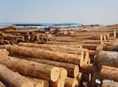 做木材进口生意需要规避哪些风险