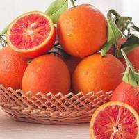四川资中塔罗科血橙农产品孕妇新鲜水果无核皮薄优质多汁10斤包邮