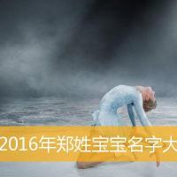 2016年郑姓宝宝名字大全