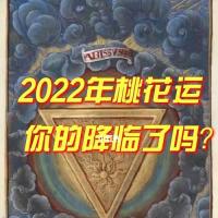 2022年桃花运塔罗牌测试