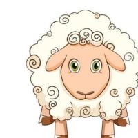 79年羊和91年羊婚配79年属羊男和91年属羊女结婚好吗