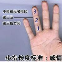 精准:手指长度,指形透露你的性格,命运与婚姻