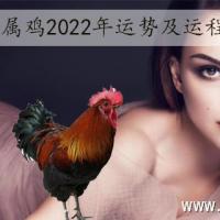 属鸡人2023年全年运势详解