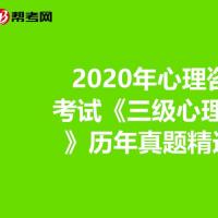 2020年心理咨询师考试三级心理咨询师历年真题精选0804