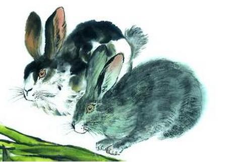 1975每属兔一生有二婚:87属兔的一生婚姻家庭