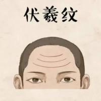 面相小知识抬头纹